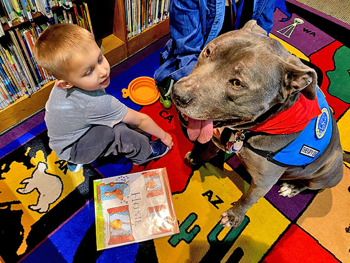 Reading with therapy dogs.